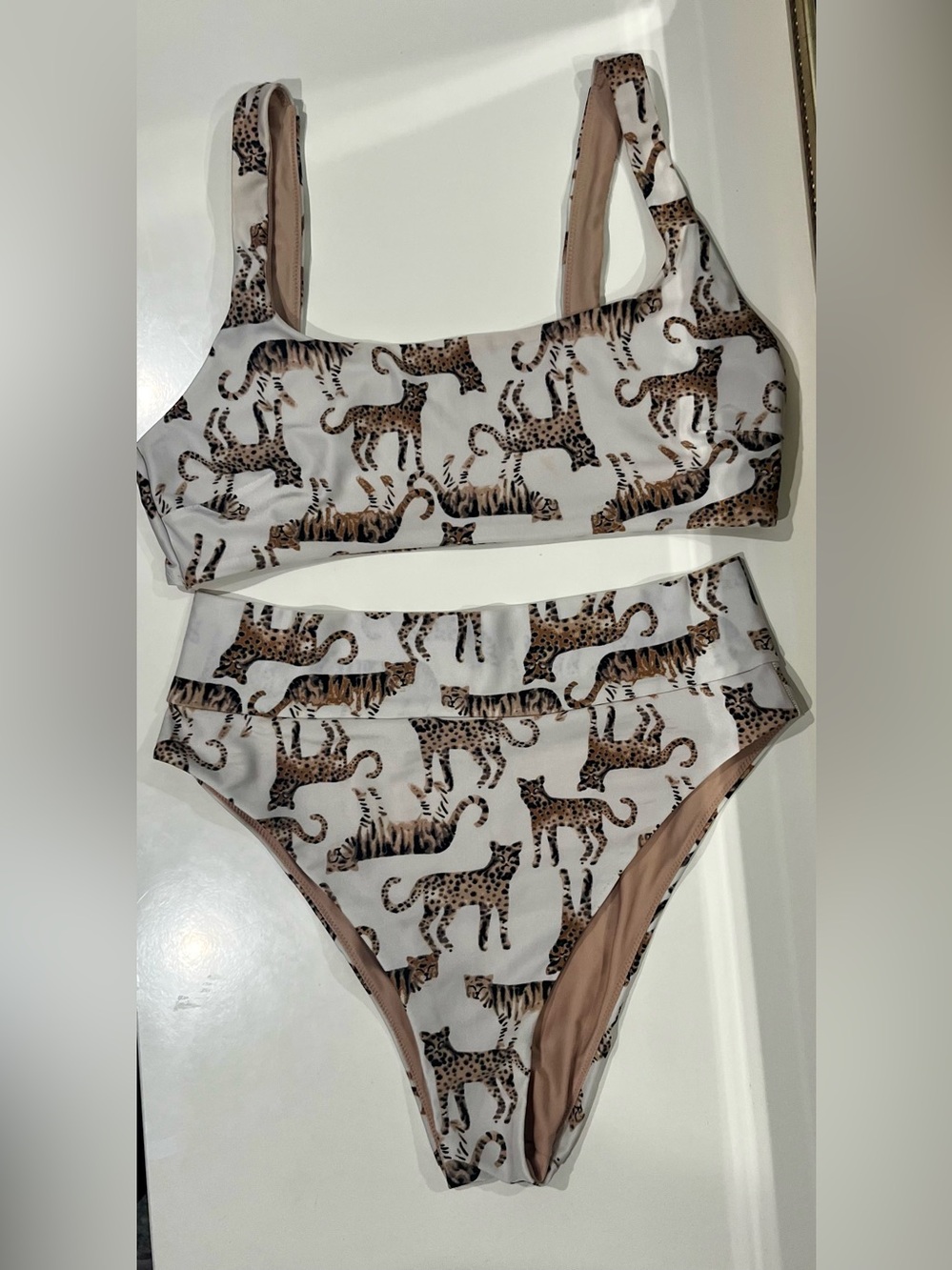 aerie Big Cat Print Bikini Set